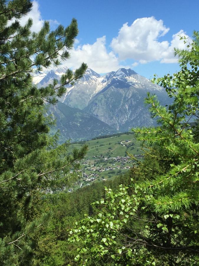 Chalet Gaerlich Bürchen Eksteriør bilde